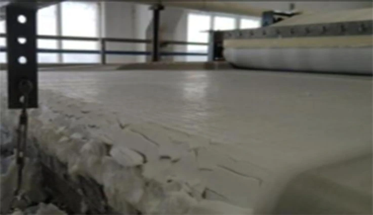 using-site-of-ldz-crawler-vacuum-pressure-belt-filter-1